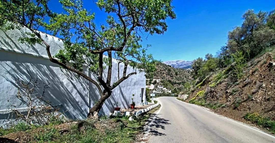 Finca El Almendro Archez Spain