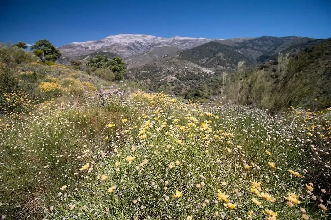 Finca El Almendro Archez Spain