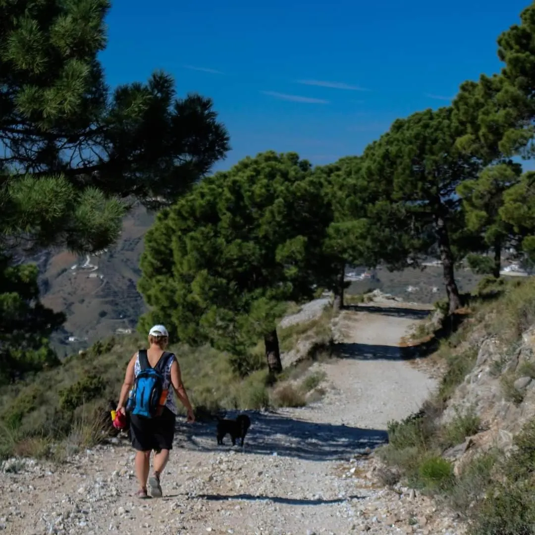 Holiday home Finca El Almendro Archez Spain